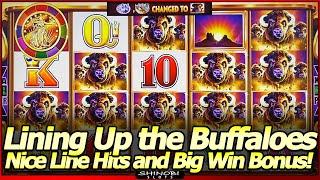 Buffalo Gold Revolution Slot Machine - Lining Up Buffaloes in Nice Line Hits and Free Spins Big Win!