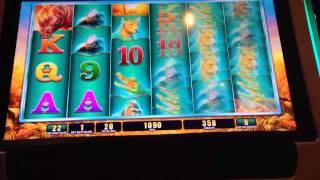 WMS' Raging Rhino Slot Machine - Bonus Win
