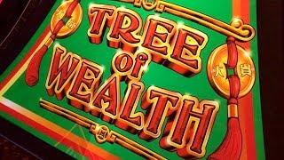 TREE OF WEALTH Bally Slot Machine - Big Bonus Win - A Quick Hit by a confused Slot Player