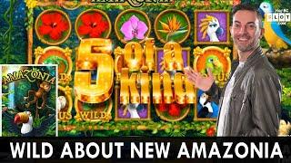 NEW Amazonia Slot on Chumba Casino ⋆ Slots ⋆ BCSlots #ad
