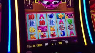 Miss Kitty Gold Slot Machine Free Spin Bonus Cosmopolitan Casino Las Vegas