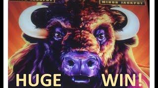 Buffalo Stampede Slot Machine - HUGE Win!