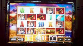 Herd slot machine bonus round ~ Incredible Technologies