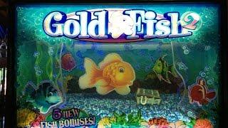 Gold Fish 2 •LIVE PLAY• Slot Machine at Harrah's SoCal
