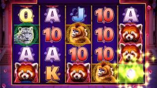 BAMBOO BEAR Video Slot Casino Game with a BAMBOO BEAR FREE SPIN BONUS