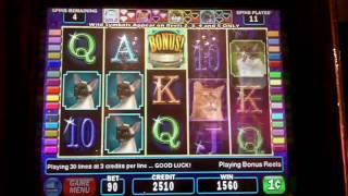 Kitty Glitter Slot Bonus - IGT