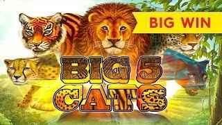 Big 5 Cats Slot - NICE SESSION and Top Progressive Bonus Video!