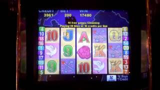 Slot machine bonus win on Love Birds at Parx Casino.