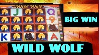 WILD WOLF slot machine BIG WIN LINE HIT (5cent)