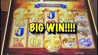 Buffalo Gold: Huge win, nice run (max bet)!
