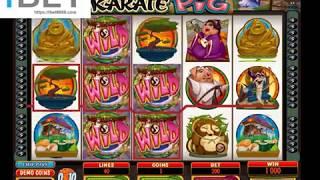 MG KaratePig Slot Game •ibet6888.com