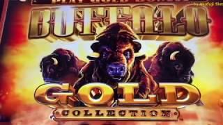 Buffalo Gold Collections Slot & 5 Dragons Gold Slot - Max Bet @ Pechanga Resort & Casino