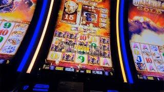 Buffalo Gold Slot Nice Bonus For The Fans Of the game & music