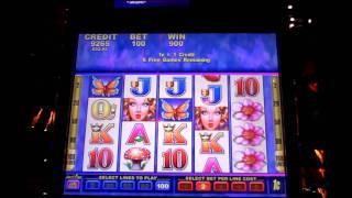 Butterfly Kisses Bonus Slot Win at Sands Casino