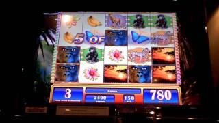 Great Chief slot machine hit at Harrah's Casino in AC