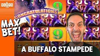 • STAMPEDE!!! • MAX BET w/ Buffalo Max • BCSlots