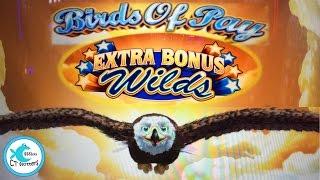 Birds of Pay Slot Machine - Extra Bonus Wilds - Hot Machine!!