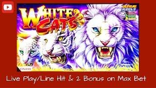Konami - White Cats : Line Hit , Live Play and 2 Bonuses on Max Bet