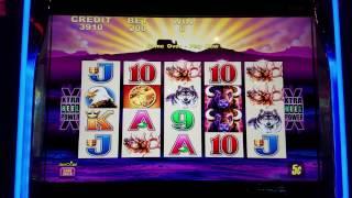 Buffalo Slot Machine Max Bet 250$ QUICK Lose Part3