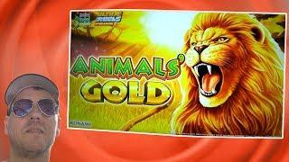 Konami Animals' Gold - First Play!