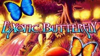 Exotic Butterfly Slot