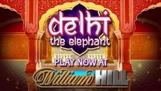 Delhi The Elephant - William Hill Vegas