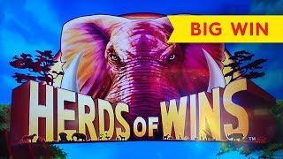 Herds of Wins Slot - THE TOP AWARD, ALMOST!