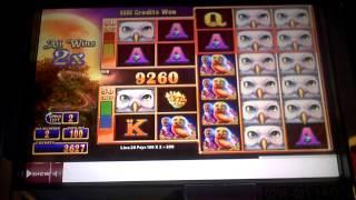 Slot machine bonus on Night Owl