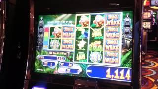 Jungle Wild 5c bonus win