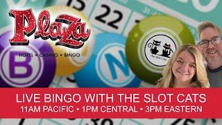 HEIDI CAT BINGOS! ⋆ Slots ⋆