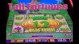 Tall Fortunes • $500 in - Lots of Bonuses