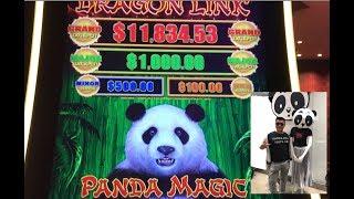 It’s Panda Magic! Dragon Link slot at San Manuel Casino.