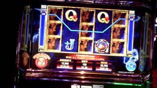 Buffalo Thunder slot bonus win at Revel Casino in AC