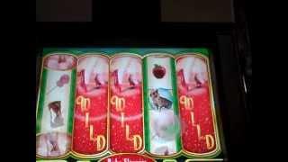 Ruby Slippers Max Bet Slot Machine Bonus GLENDA HUGE WIN