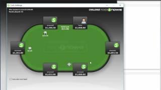 PokerSnowie Challenge and Analysis 1