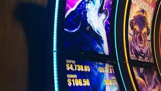 $200 - High limit Timber Wolf Grand Slot Machine live play w/ Casino Collins