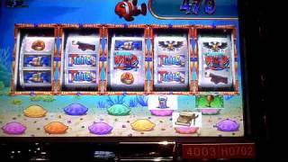 New Goldfish Armada Transmissive Reels Slot Machine