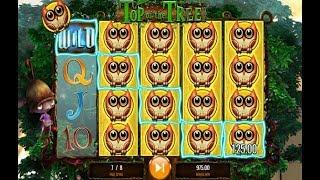 Wishwood Online Slot from IGT with Multiple Bonus Features