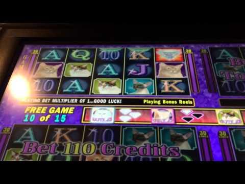 Kitty glitter HANDPAY jackpot high limit slots bonus