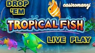DROP 'EM - TROPICAL FISH SLOT - SLOT BONUS and PROGRESSIVE WINS! - Slot Machine Bonus
