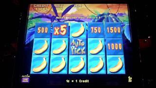 Banana King Bonus Win at Sands Casino