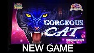 GORGEOUS CAT slot machine Bonus WIN (2 videos)