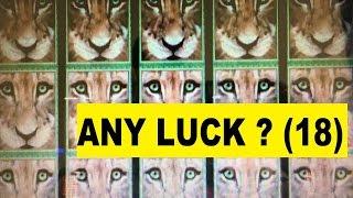 •ANY LUCK ? Free Play Slot Live Play (18)•CAT PAWS Slot machine (igt) •$2.50 Bet BIG WIN