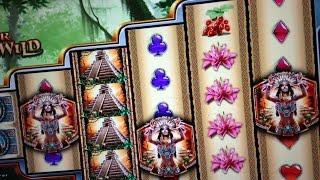 Super Jungle Wild Slot BIG WIN!!! -WMS