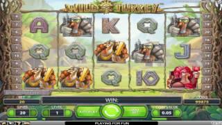 Free Wild Turkey Slot by NetEnt Video Preview | HEX