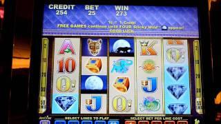 Lucky Leopard Slot Machine Bonus Win (queenslots)