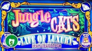 Jungle Cats slot machine, bonus