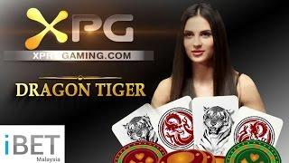 Preview http://y89.ibet.uk.com Live Casino iCASINO++ Dragon Tiger by iBET Malaysia