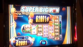 Super Jungle Wild (WMS)- $10 bet Super Big Win