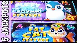 Cat or Penguin?  All my Handpays on FAT FORTUNES!